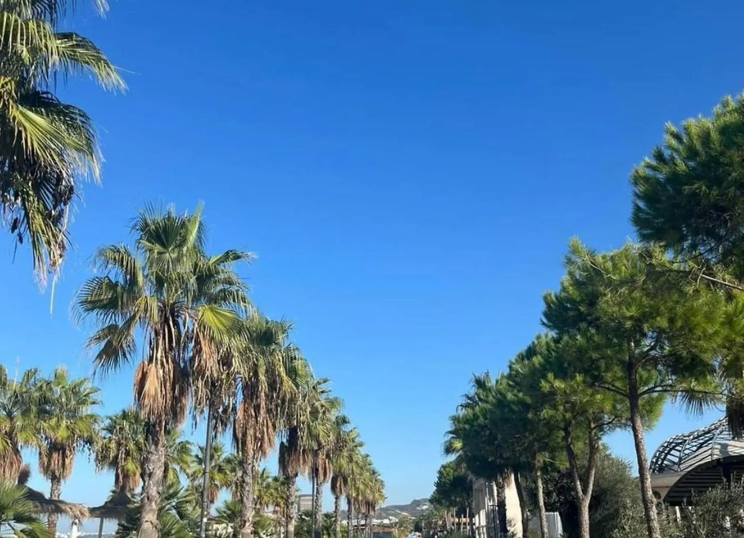 Albania Dream Holidays Apartment ゴーレム